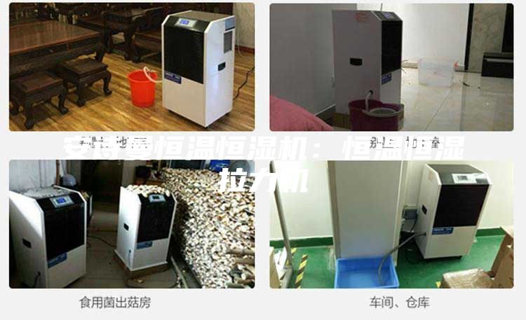 安诗曼恒温恒湿机：恒温恒湿拉力机