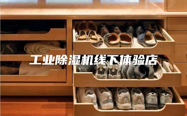 工业除湿机线下体验店