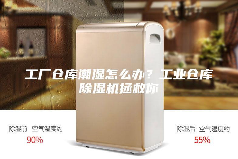 工厂仓库潮湿怎么办？工业仓库除湿机拯救你