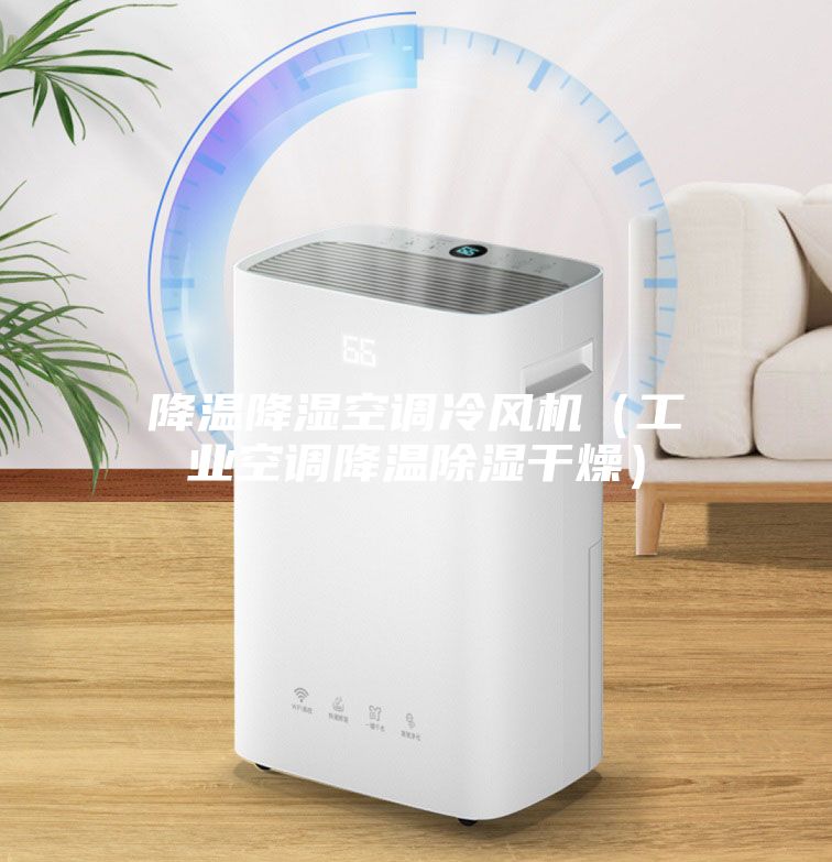 降温降湿空调冷风机（工业空调降温除湿干燥）