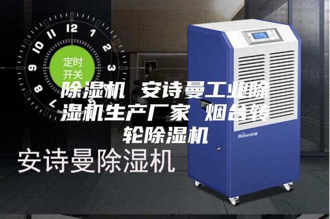 除湿机 安诗曼工业除湿机生产厂家 烟台转轮除湿机
