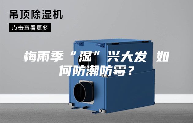 梅雨季“湿”兴大发 如何防潮防霉?