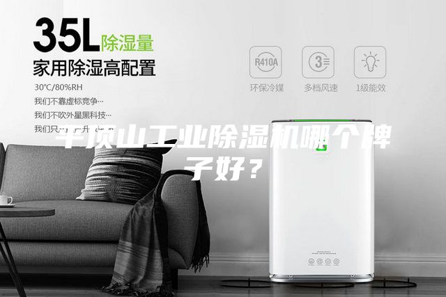 平顶山工业除湿机哪个牌子好？