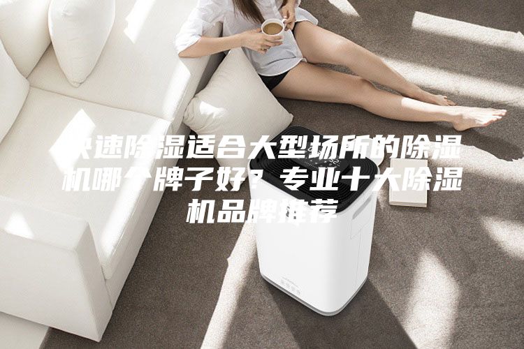 快速除湿适合大型场所的除湿机哪个牌子好？专业十大除湿机品牌推荐