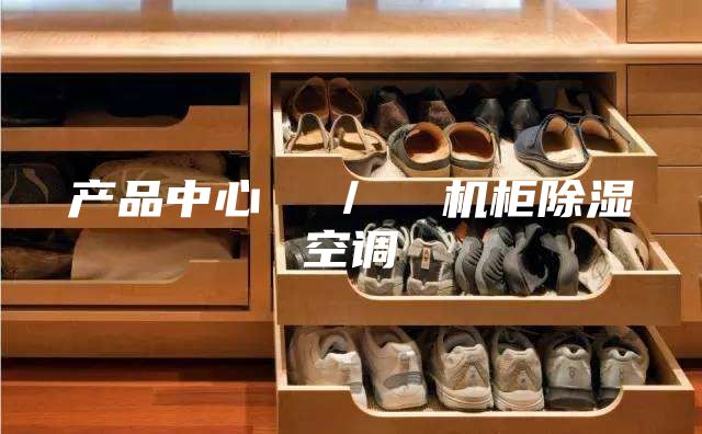 产品中心  ／  机柜除湿空调