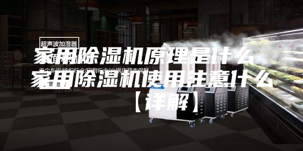 家用除湿机原理是什么 家用除湿机使用注意什么【详解】