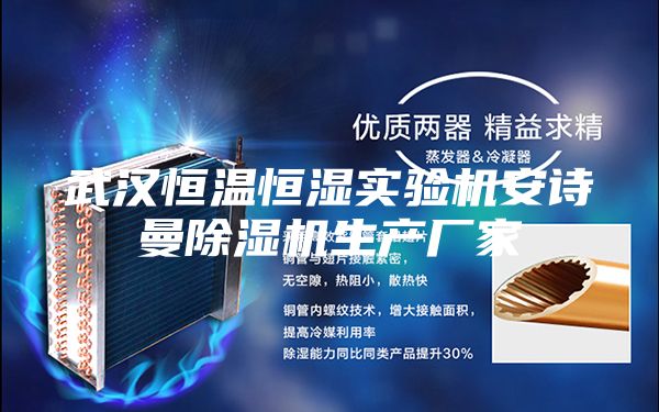 武汉恒温恒湿实验机安诗曼除湿机生产厂家