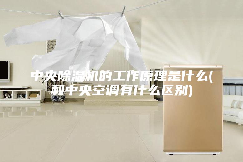 中央除湿机的工作原理是什么(和中央空调有什么区别)
