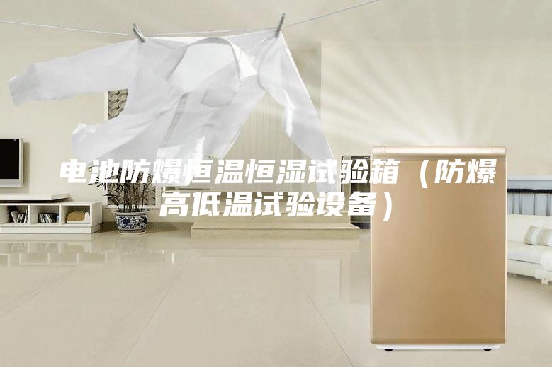 电池防爆恒温恒湿试验箱（防爆高低温试验设备）