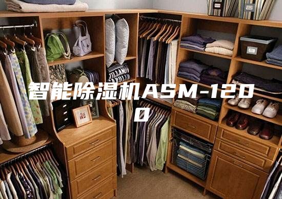智能除湿机ASM-1200