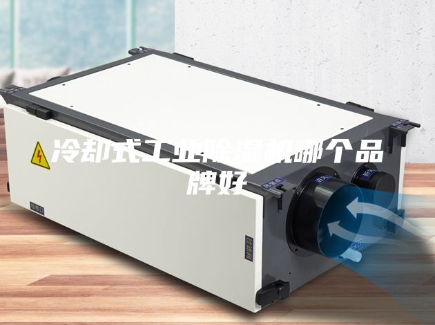 冷却式工业除湿机哪个品牌好