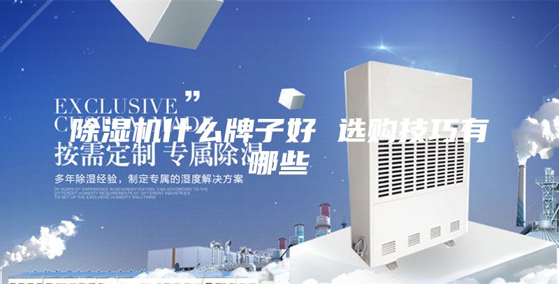 除湿机什么牌子好 选购技巧有哪些