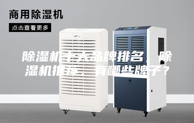 除湿机十大品牌排名，除湿机推荐，有哪些牌子？