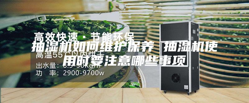 抽湿机如何维护保养 抽湿机使用时要注意哪些事项
