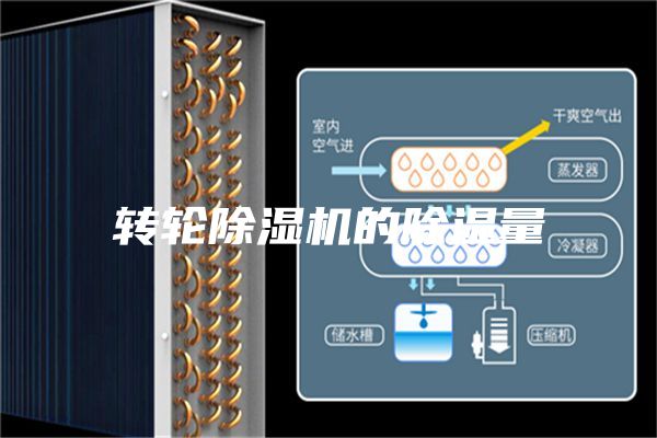 转轮除湿机的除湿量