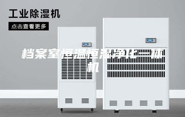 档案室恒温恒湿净化一体机