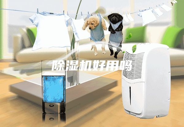 除湿机好用吗