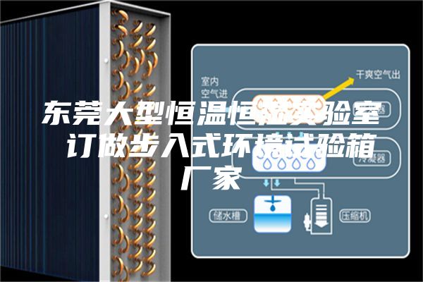 东莞大型恒温恒湿实验室 订做步入式环境试验箱厂家