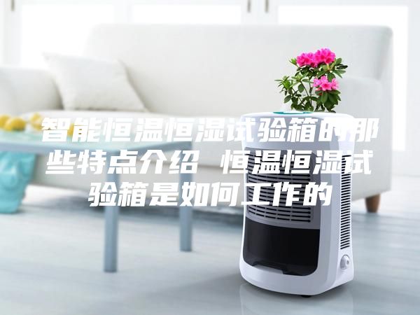 智能恒温恒湿试验箱的那些特点介绍 恒温恒湿试验箱是如何工作的