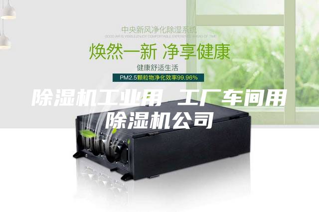 除湿机工业用 工厂车间用除湿机公司