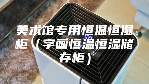 美术馆专用恒温恒湿柜（字画恒温恒湿储存柜）