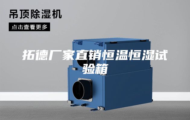拓德厂家直销恒温恒湿试验箱