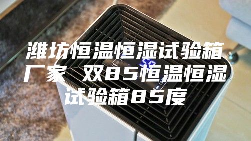 潍坊恒温恒湿试验箱厂家 双85恒温恒湿试验箱85度