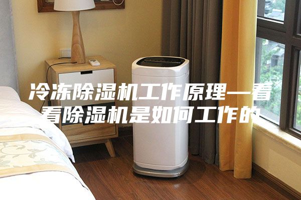 冷冻除湿机工作原理—看看除湿机是如何工作的