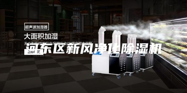 河东区新风净化除湿机