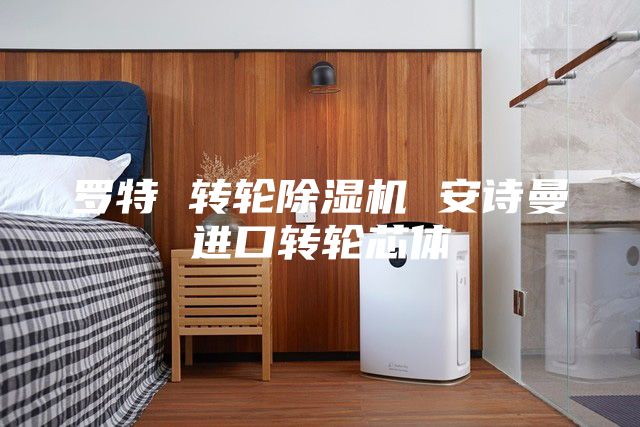 罗特 转轮除湿机 安诗曼进口转轮芯体