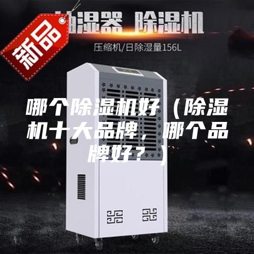 哪个除湿机好（除湿机十大品牌，哪个品牌好？）
