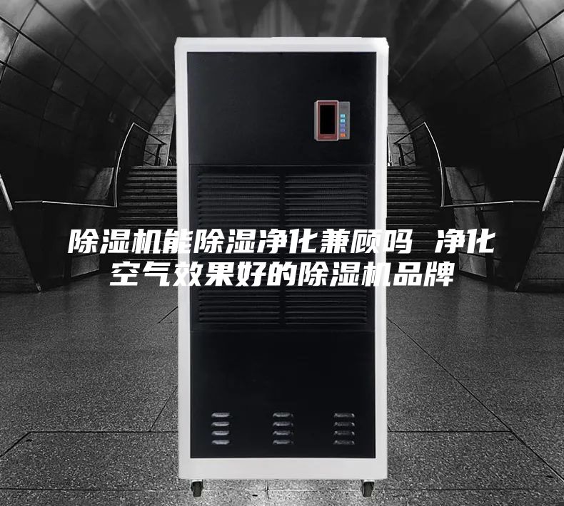 除湿机能除湿净化兼顾吗 净化空气效果好的除湿机品牌