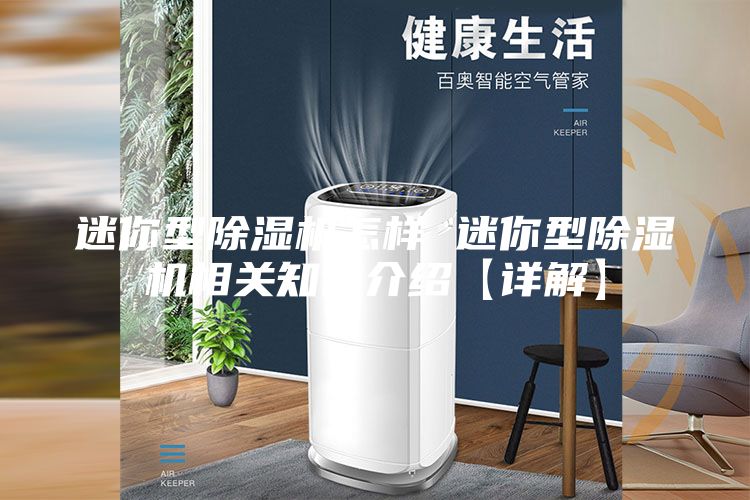 迷你型除湿机怎样 迷你型除湿机相关知识介绍【详解】