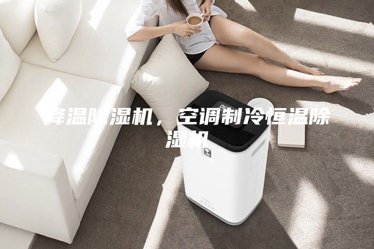 降温除湿机，空调制冷恒温除湿机