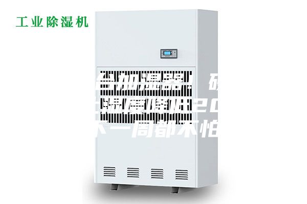 硬钢3台加湿器！硬核抽湿机让湿度降低20，雨下一周都不怕