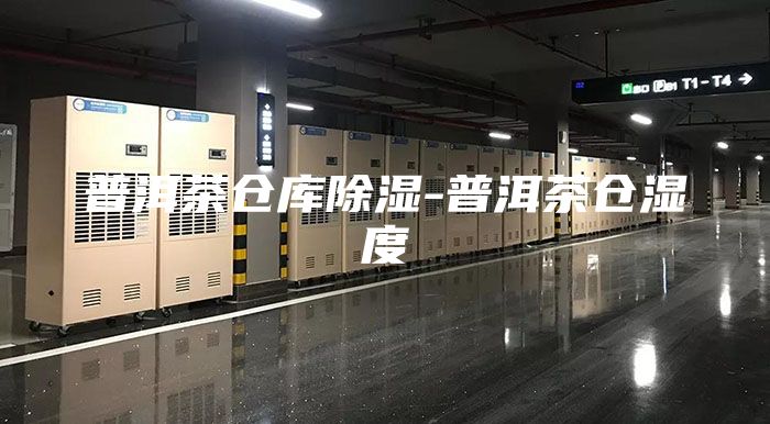 普洱茶仓库除湿-普洱茶仓湿度