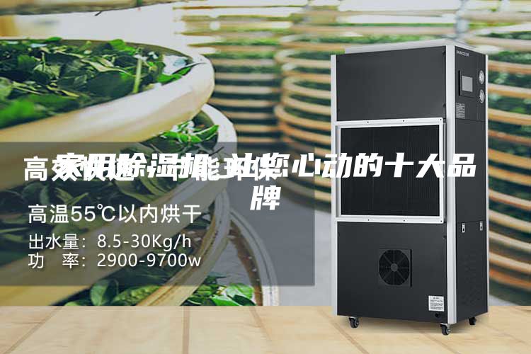 家用除湿机_让您心动的十大品牌