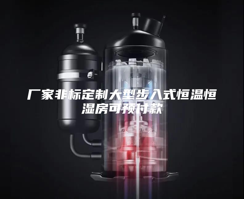 厂家非标定制大型步入式恒温恒湿房可预付款