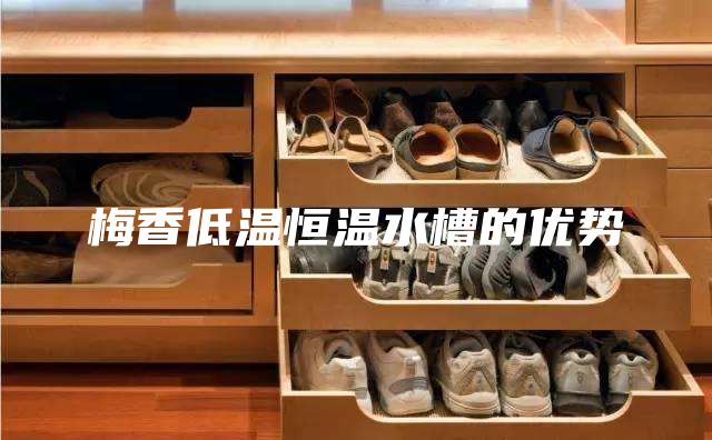 梅香低温恒温水槽的优势