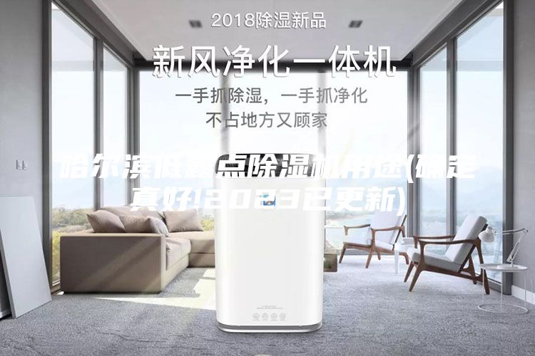 哈尔滨低露点除湿机用途(确定真好!2023已更新)