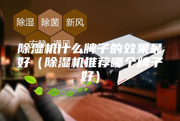 除湿机什么牌子的效果最好（除湿机推荐哪个牌子好）