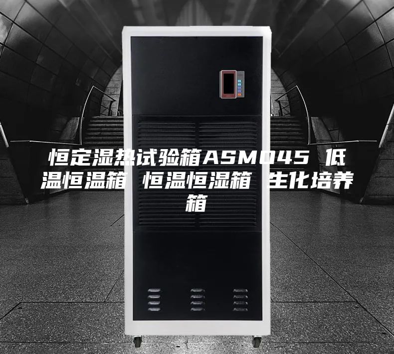 恒定湿热试验箱ASMO45 低温恒温箱 恒温恒湿箱 生化培养箱