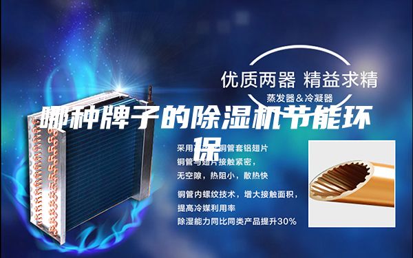 哪种牌子的除湿机节能环保