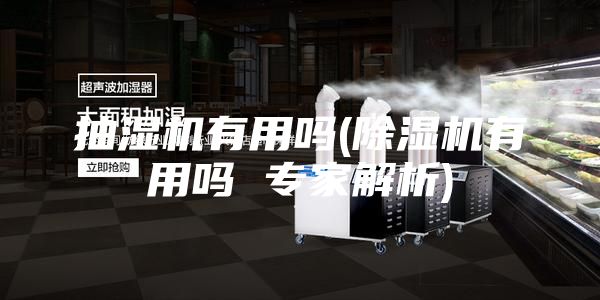 抽湿机有用吗(除湿机有用吗 专家解析)