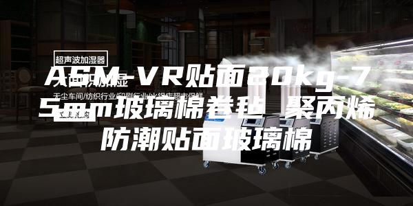 ASM-VR贴面20kg-75mm玻璃棉卷毡 聚丙烯防潮贴面玻璃棉