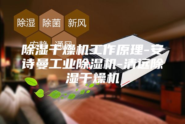 除湿干燥机工作原理-安诗曼工业除湿机-清远除湿干燥机