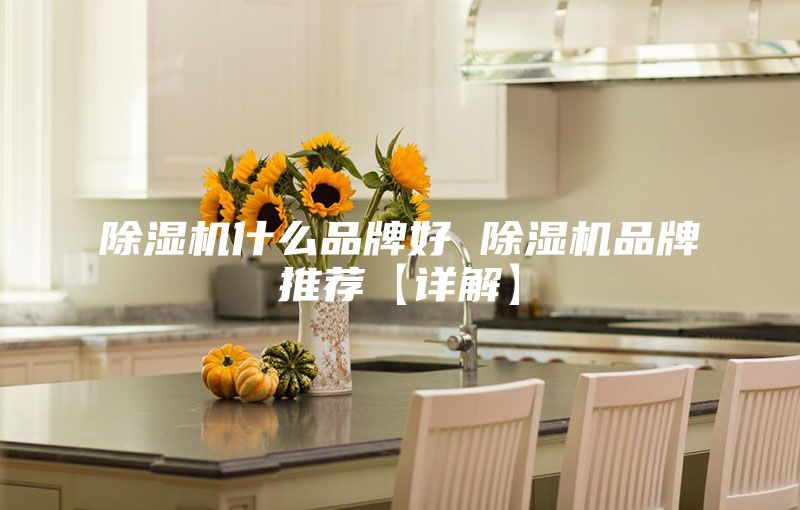 除湿机什么品牌好 除湿机品牌推荐【详解】