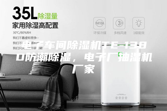 电子车间除湿机TE-138D防潮除湿，电子厂抽湿机厂家