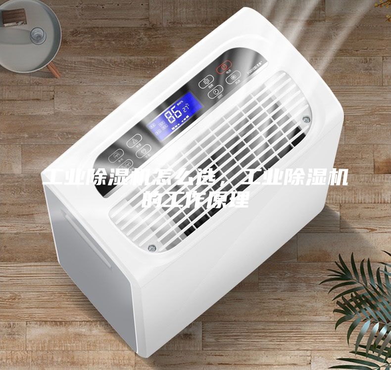 工业除湿机怎么选，工业除湿机的工作原理