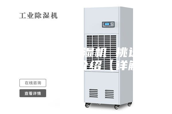 如何挑选除湿机 挑选除湿机技巧介绍【详解】